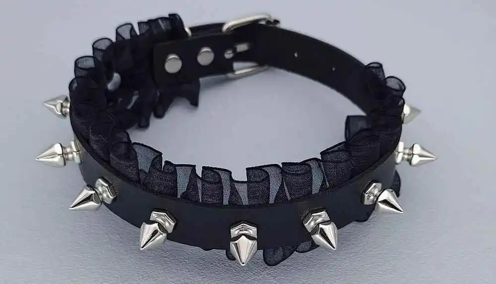 k9犬系 - 微信图片_20240406140106
