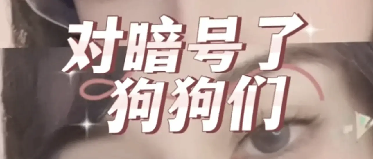 西檬之家-字母圈新人快速入圈指南：从术语解读到安全共识