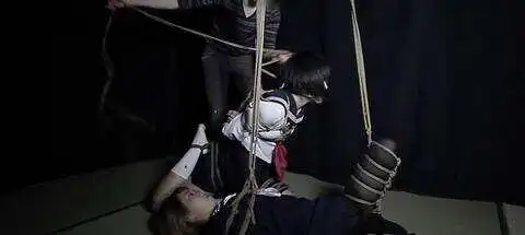 西檬之家-Sub是什么？BDSM字母圈新人权威指南