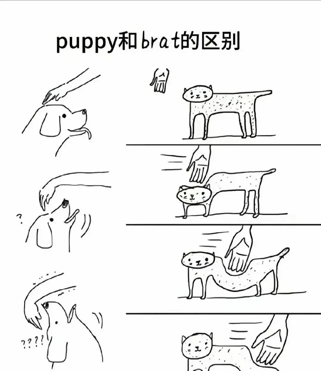 字母圈：实用指南