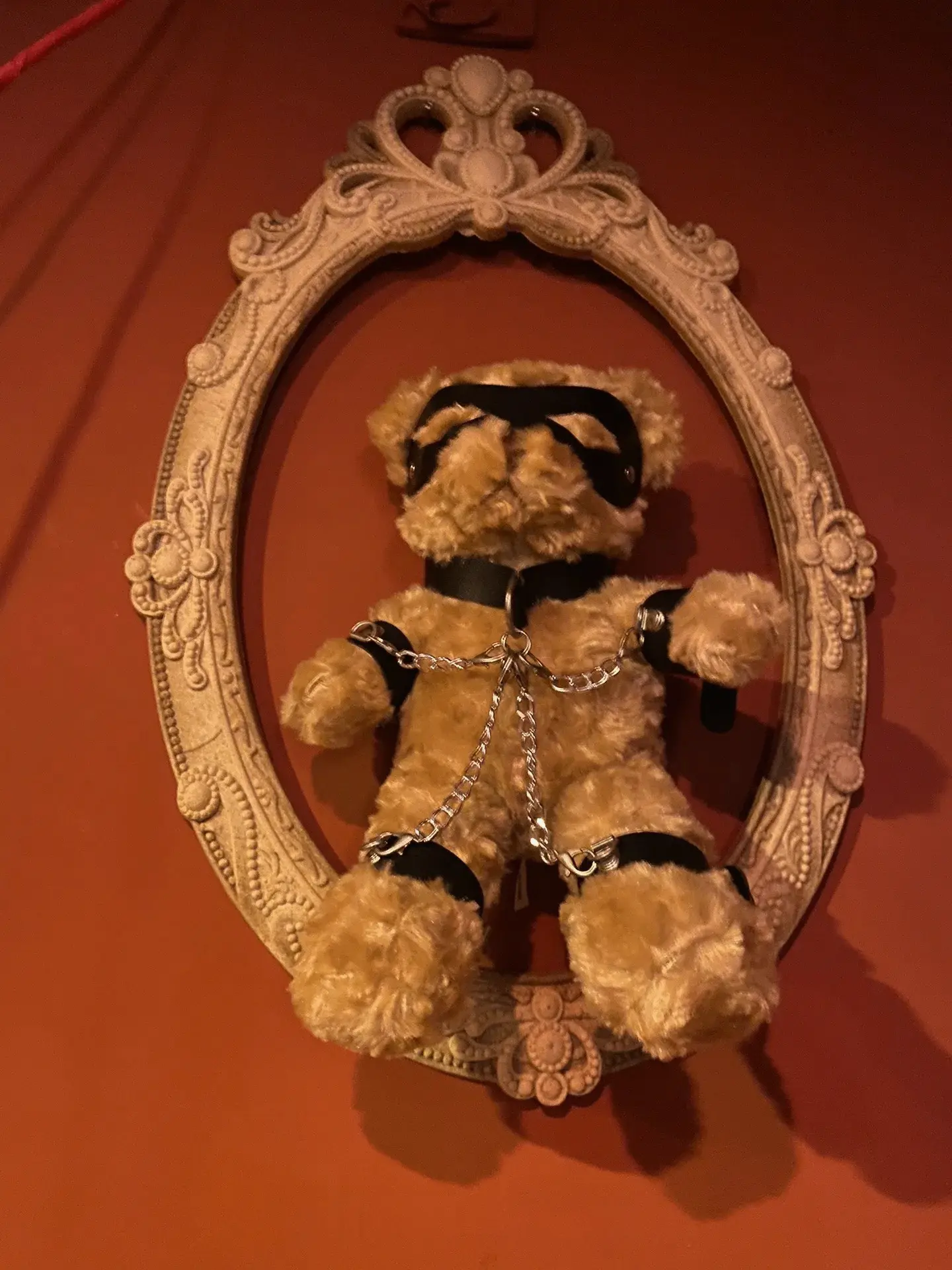 【西檬之家】字母圈的DOM是什么意思？
