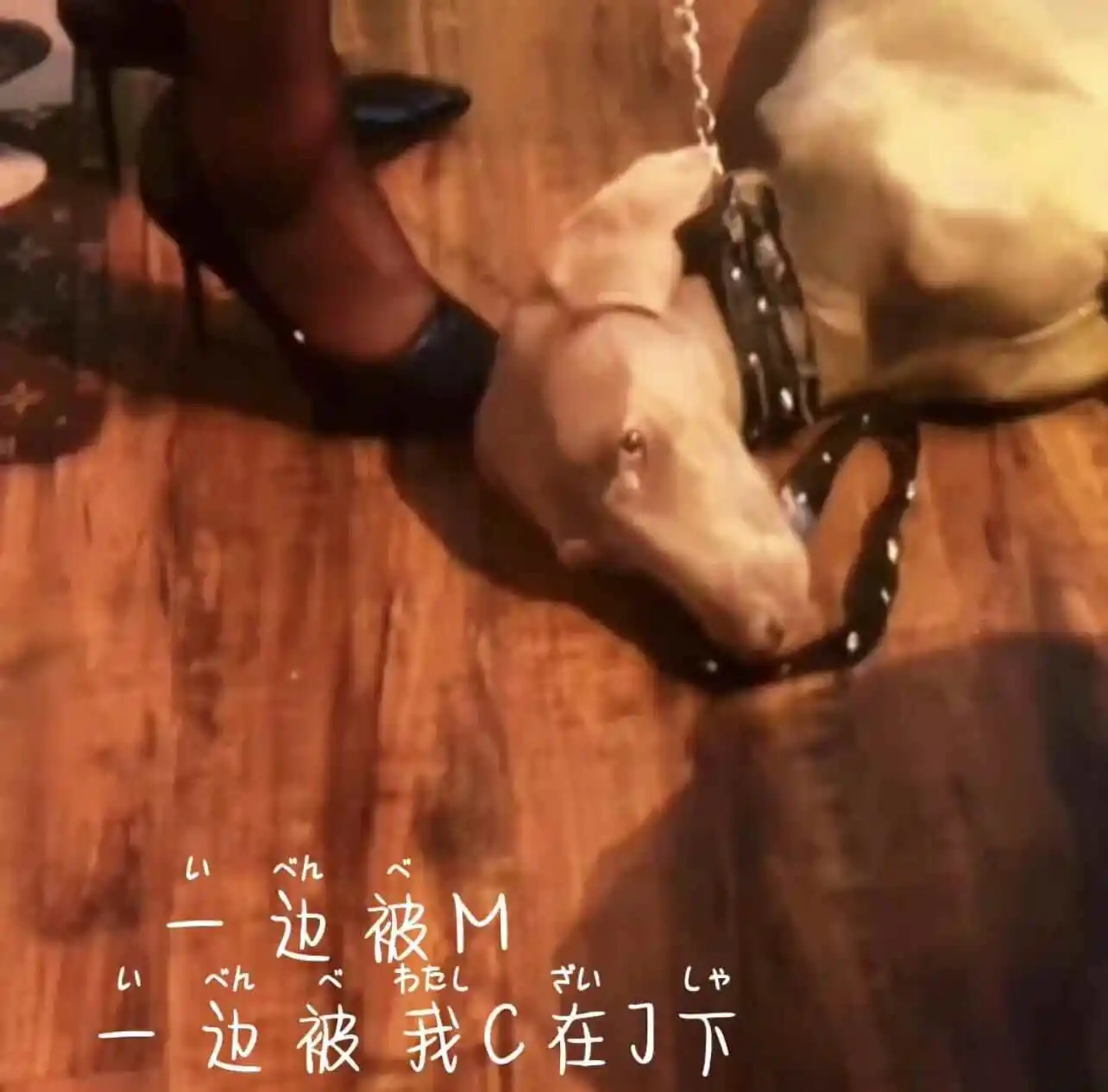 Ddlg是什么：实用指南