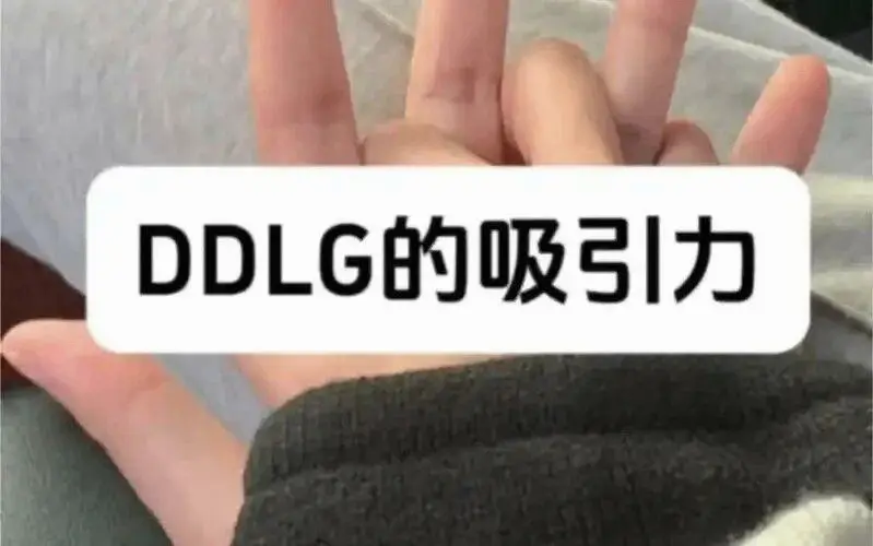 【西檬之家】k9犬系是什么？BDSM新人入圈身份指南