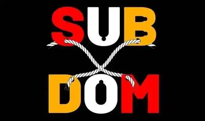 【西檬之家】BDSM字母圈DOM是什么意思？