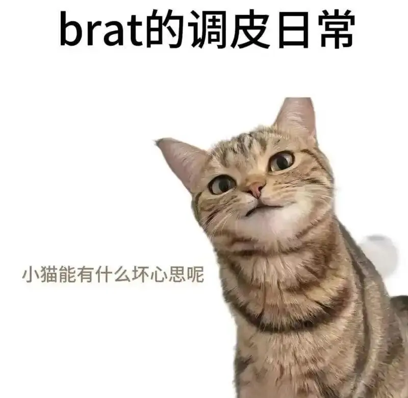 西檬之家-小圈实践指南 | SSDM新手从入门到精通