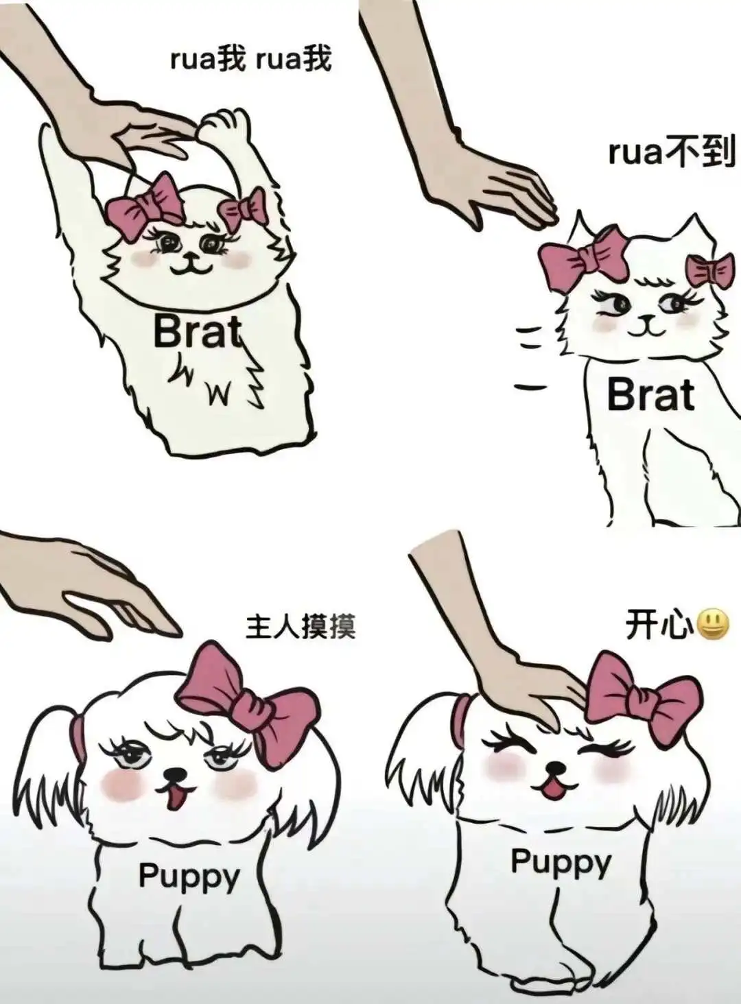 【西檬之家】Spank入门：字母圈新人必知的SP玩法与安全指南