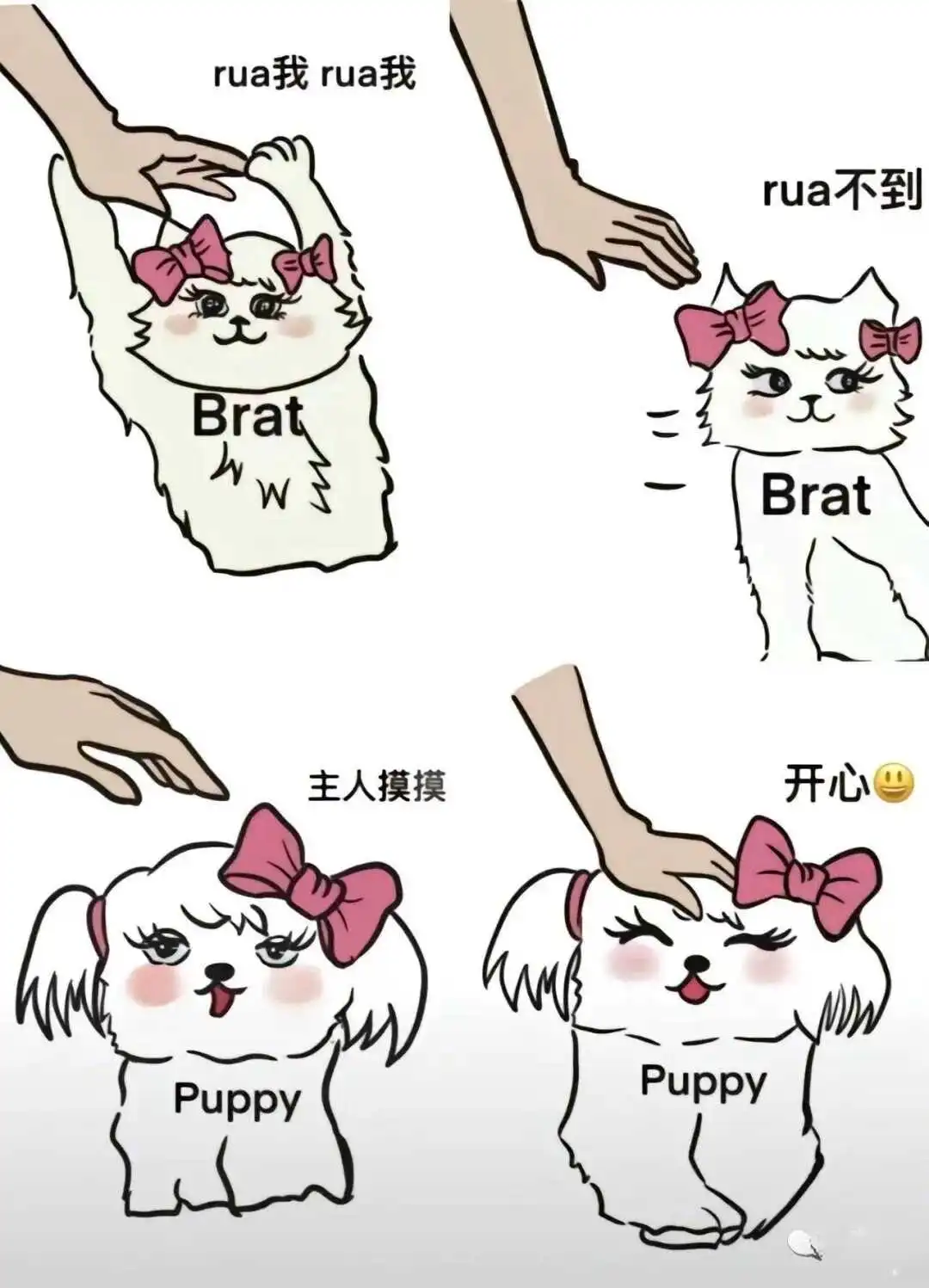 西檬之家-字母圈DOM是什么意思？